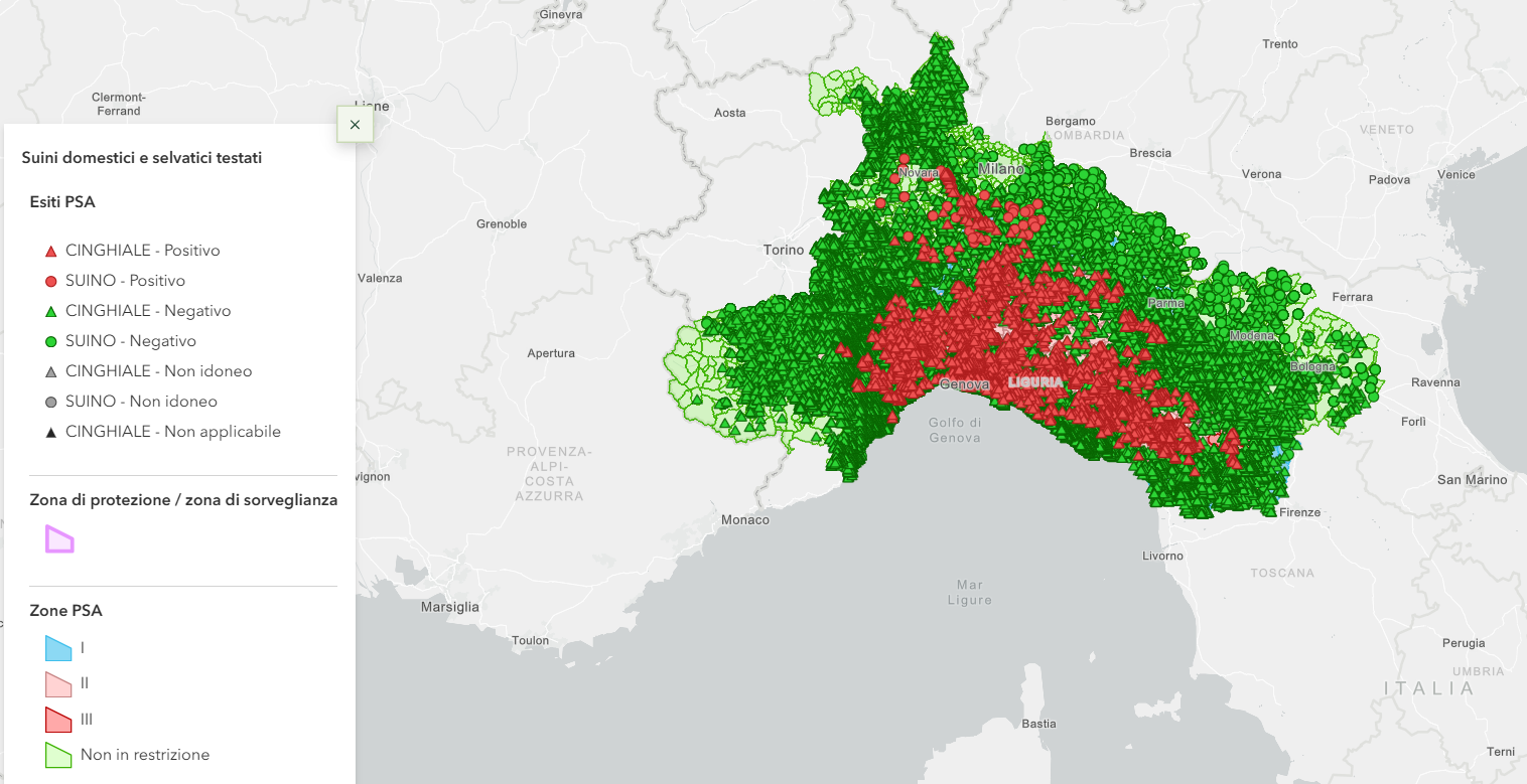 Situazione PSA e controlli.Mappa della sorveglianza PSA: distribuzione dei campioni di suini domestici e cinghiali testati e relativo esito diagnostico, con evidenza delle zone soggette a restrizione (I, II e III) e dei territori non in restrizione. Triangoli = cinghiali; cerchi = suini domestici; rosso = positivo; verde = negativo.