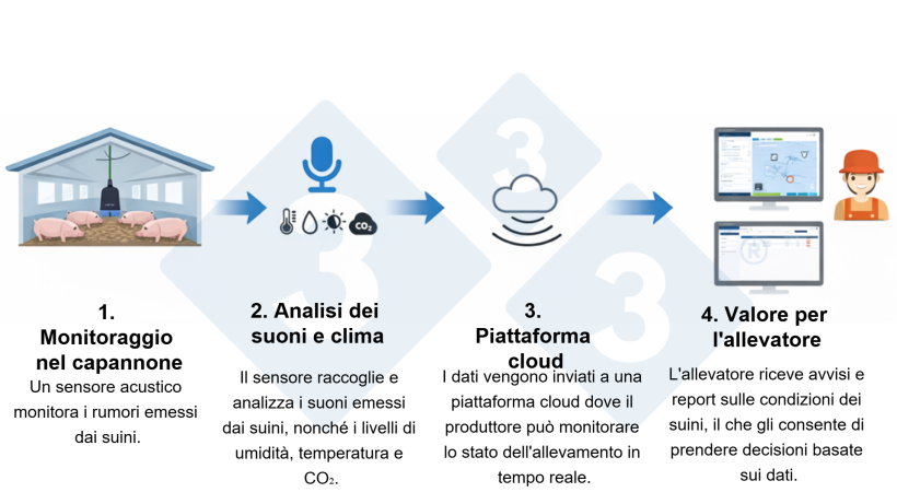 Figura 2: Rilevamento efficace