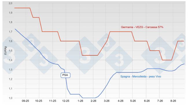 Evoluzione del prezzo del suino in Spagna e Germania nell'agosto 2026.
