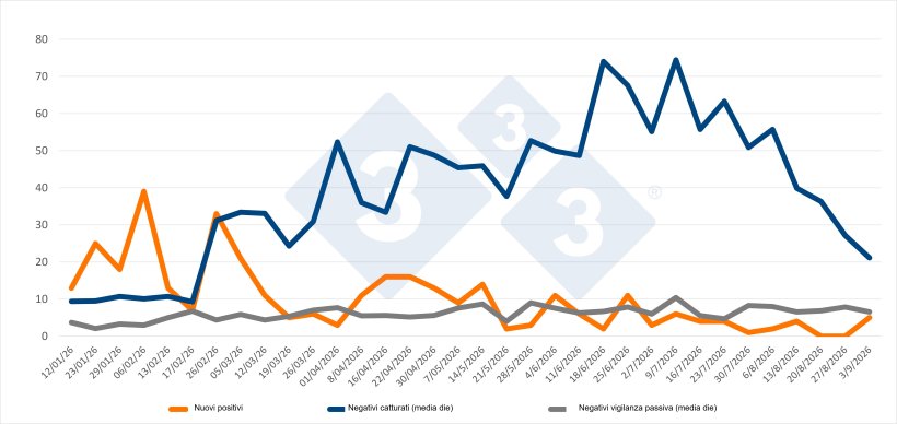 Evoluzione dei casi positivi, dei contagi e della sorveglianza passiva settimanale nelle zone I e II. Fonte: 333 sulla base dei dati MAPA.