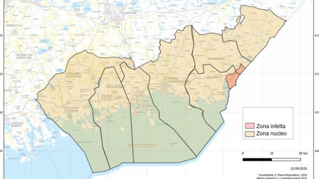 Zone di restrizione per la peste suina africana (PSA) in Finlandia. Fonte: Autorità finlandese per la sicurezza alimentare.