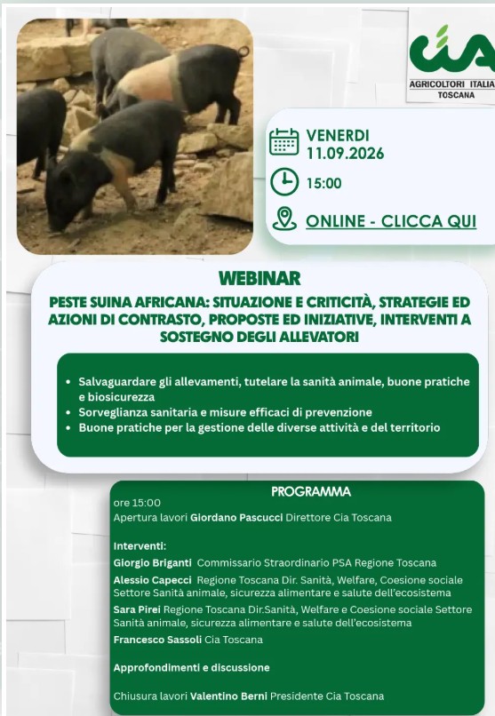 Webinar