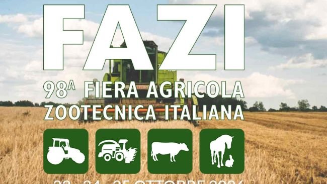 fazi