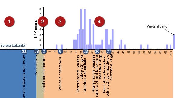 An&aacute;lisis repeticiones periodo conflictivo