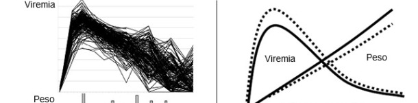 Viremia del PRRSV (figura superiore)e distribuzione dell'IMG (inferiore) di 200 suini infetti sperimentalmente con PRRSV.