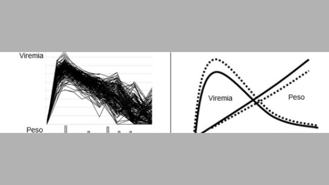 Viremia del PRRSV (figura superiore)e distribuzione dell'IMG (inferiore) di 200 suini infetti sperimentalmente con PRRSV.