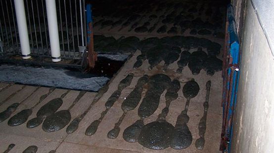 Espuma sobresaliendo del suelo de slat