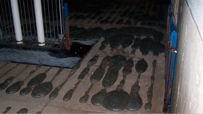 Espuma sobresaliendo del suelo de slat