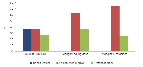 Il consumo di mangimi specifici per scrofette riduce la prevalenza delle zoppie