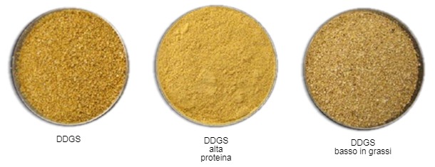 Figura 2. Adattato da www.alibaba.com