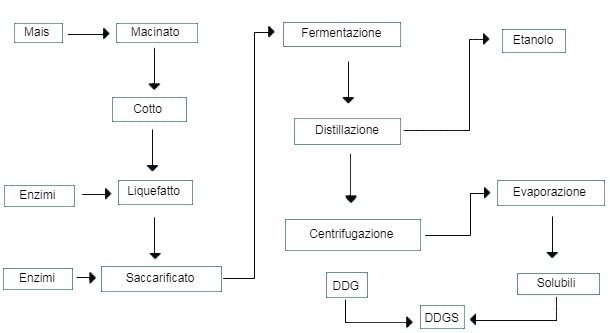 Figura 1. Adattato da MAIZAR (www.maizar.org.ar)