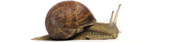 Larga apat&iacute;a en los mercados