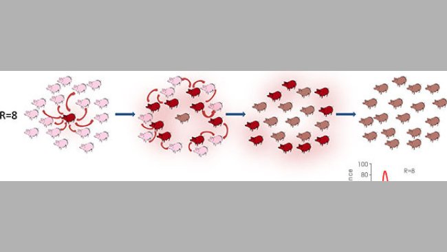 Replicazione virale in un contesto epidemido o endemico