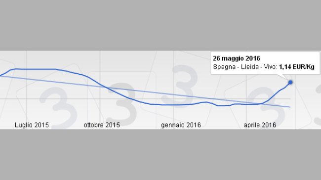 Prezzo suino Mercolleida