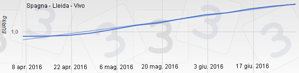 Precio porcino en Espana