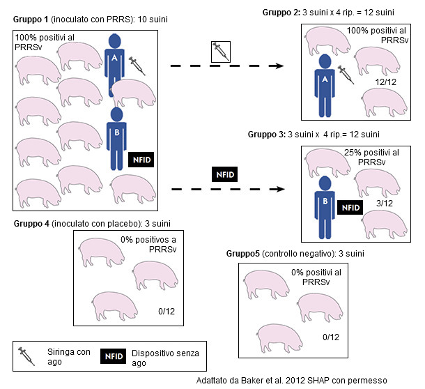 Disegno sperimentale per valutare la capacit&agrave; di un dispositivo senza ago&nbsp;(NFID) per prevenire la trasmissione ematogena del virus della PRRS
