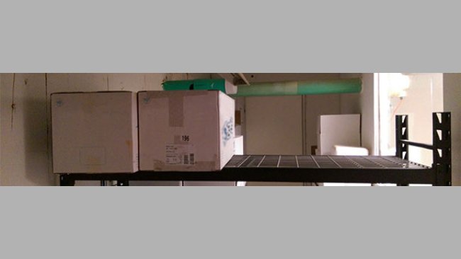 Biosicurezza per l'entrata di materiali negli allevamenti di suini