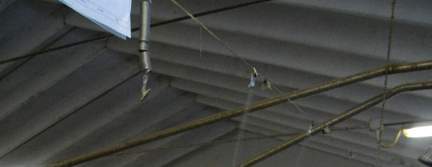 Inseminazione con molle
