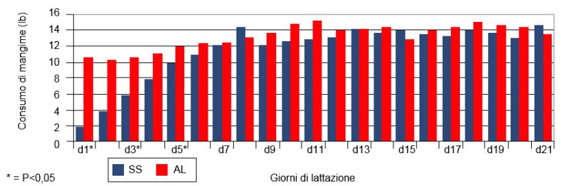 Consumo giornaliero delle scrofe in lattazione con un sistema alimentare ristretto rispetto ad un sistema ad libitum