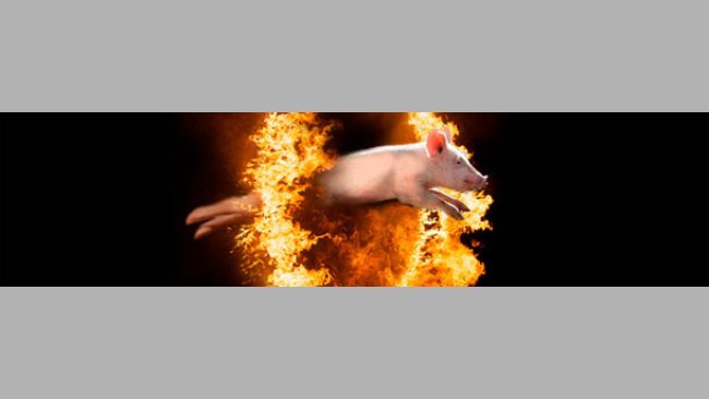 Il muro del calore di settembre