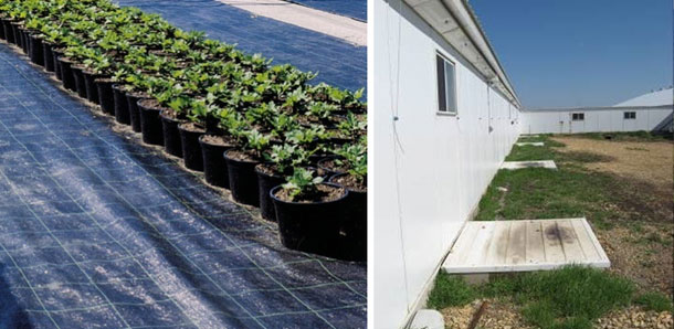 Ejemplo de barrera pl&aacute;stica que evita el crecimiento de vegetaci&oacute;n