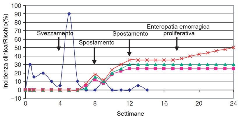 Epidemiologia delle malattie batteriche gastro-intestinali