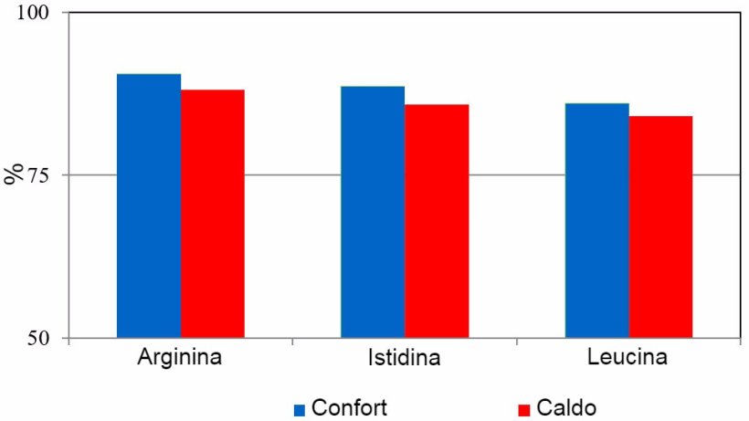Digeribilità apparente di amminoacidi nei suini esposti a temperature ambientali di confort (24 ± 2 °C) o di stress da caldo (variazione giornaliera da 30 a 42 °C).