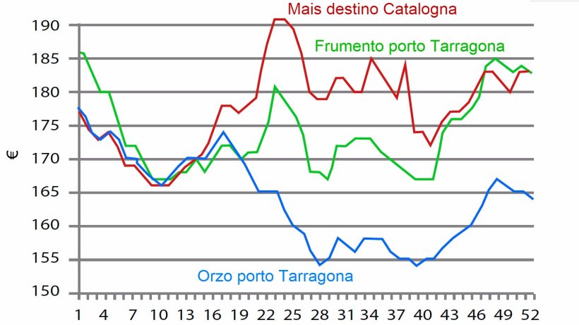 Grafico 1. Evoluzione&nbsp;settimanale del prezzo del frumento, mais ed orzo nel 2016. Fonte: Mercato di Barcelona.

