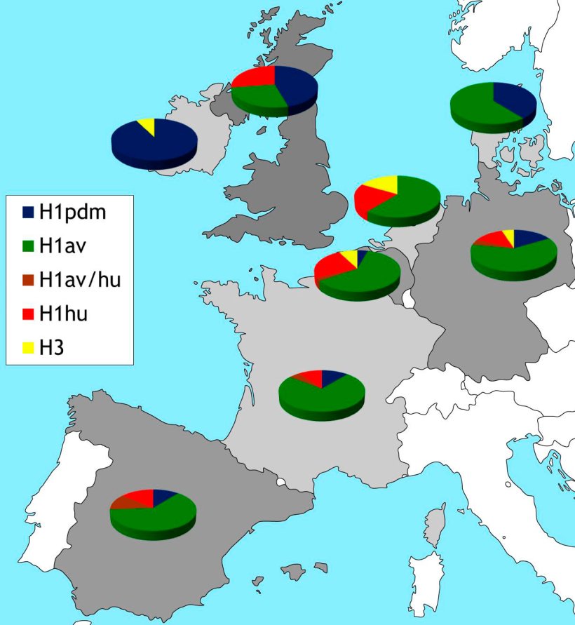Figura 2. Restrizioni geografiche dei subtipi HA dei IAV che circolano attualmente in Europa. I dati si basano su referenze e su nostri studi di monitoraggio passivo che iniziarono nel 2015.