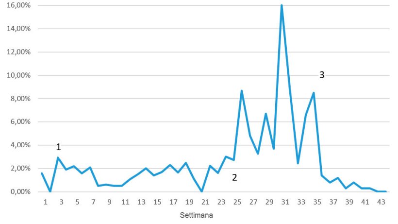 Figura 7. Mortalità settimanale durante i problemi da ME; 1 = riduzione dei primi segni dopo 3-4 settimane; 2 = ricomparsa della malattia ad un livello molto superiore; 3 = prima settimana dopo la vaccinazione.