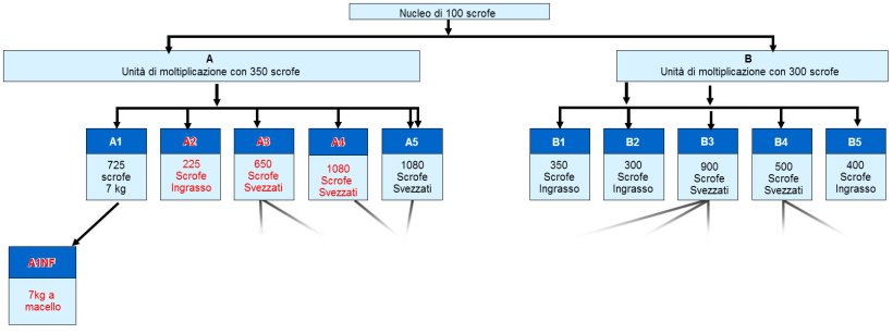 Figura 1. Struttura dell'azienda– tutti i siti in rosso hanno avuto la ME clinica durante il 2015/6.