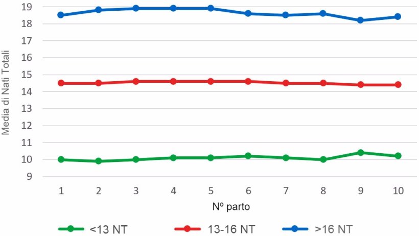 Grafico 4: Media di suinetti nati morti per numero di parto per le figliate con meno di 13, tra 13 e 16 o oltre16 suinetti. L'analisi si basa su 93.896 parti di scrofe iperprolifiche tra ottobre 2014 a settembre 2016.
