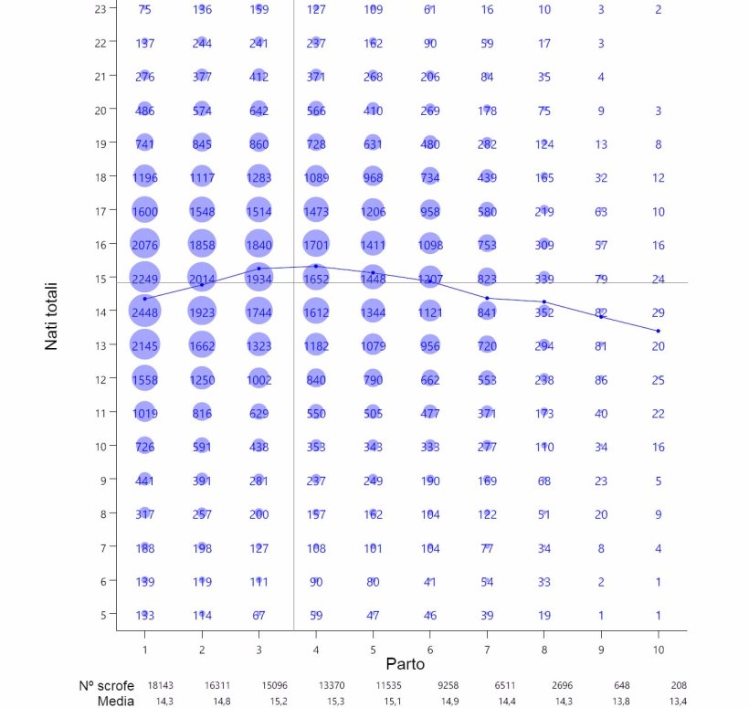 Grafico&nbsp;1: Media di suinetti nati totali per numero di parto de 93.896 scrofe iperprolifiche tra ottobre 2014 e settembre 2016
