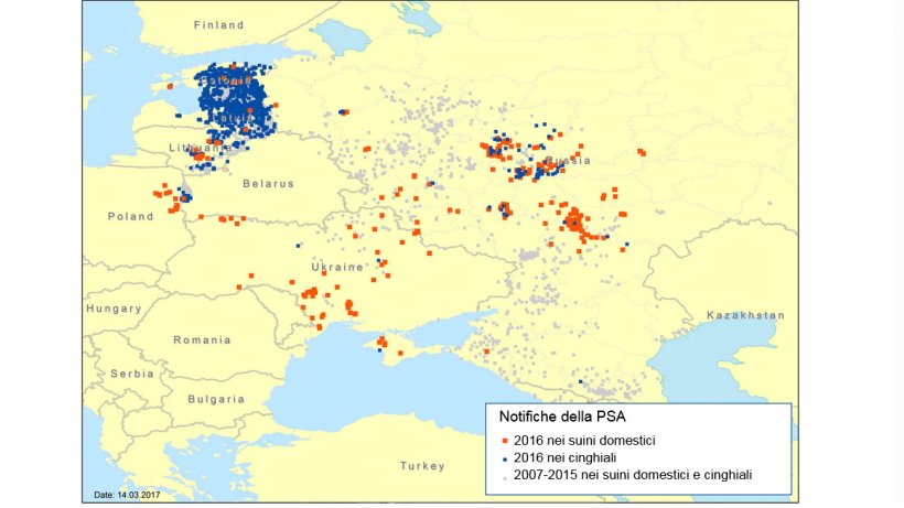 Notifiche di focolai di PSA nelle regioni dell'Est Europa nel 2007&ndash;2016
