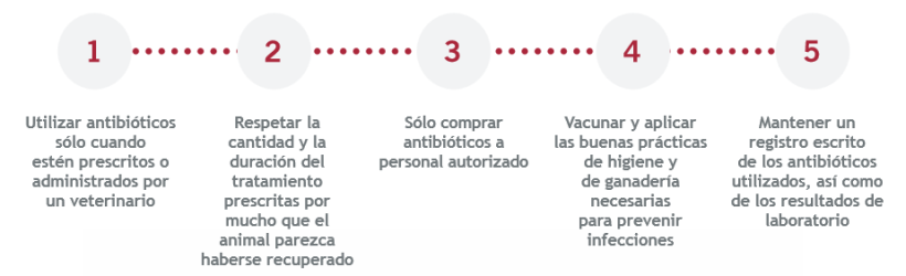 Uso responsabile degli antimicrobici.