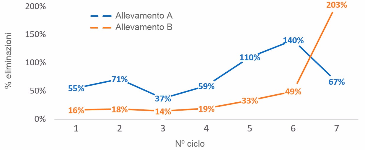 Grafico 1. % di scrofe eliminate per n&ordm; di&nbsp;ciclo (n&ordm; scrofe eliminate per ciclo/numero medio di scrofe per ciclo) nel 2016
