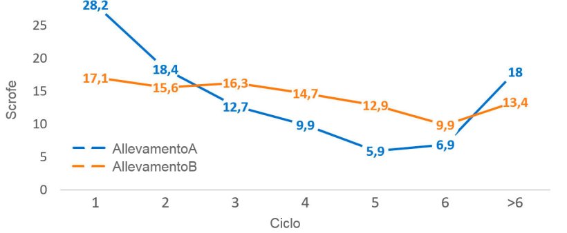 Grafico 2. Distribuzione demografica per ciclo al&nbsp;31 dicembre&nbsp;2016
