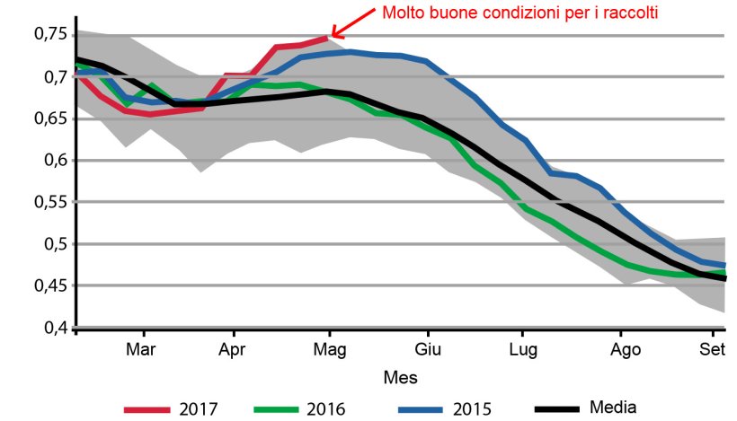Immagine 2. Condizioni della raccolta del mais in Brasile. Fonte: USDA
