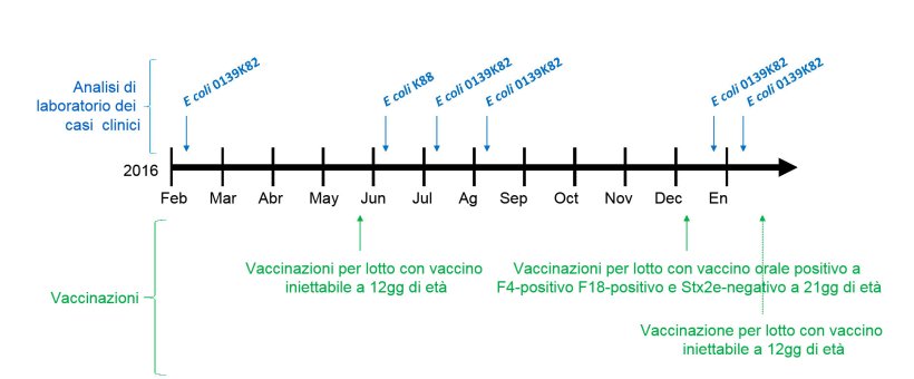 Immagine 1: Analisi di laboratorio dei casi clinici e calendario delle vaccinazioni