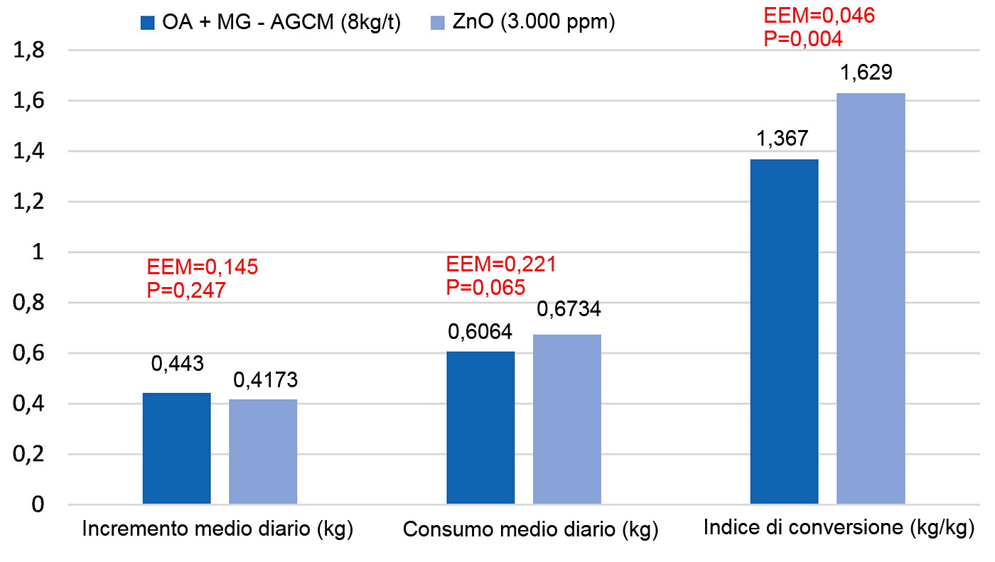 Figura 1. Effetti della sostituzione del ZnO (3.000ppm) con una miscela di acidi organici e monogliceridi di acidi grassi a media catena (OA+MG-AGCM, 8kg/t) nella fase starter nei suinetti (8 repliche/trattamento, 12 suinetti per replica). Il modello includeva il trattamento, la dimensione dei suinetti all'nizio (P<0,001 per il peso finale e l'accrescimento) e la loro interazione (P>0,05). EEM=errore standard dalla media.

