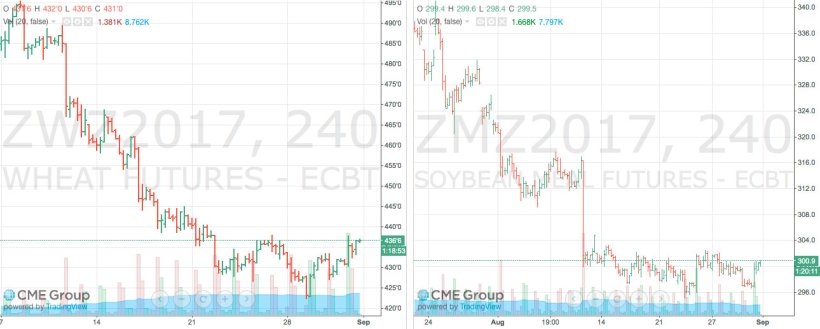 Grafico 1. Evoluzione del prezzo del mais e della soia nei mercato dei "futures" di Chicago Board of Trade (CBOT). Fonte: CME Group. Grafico 2. Evoluzione del prezzo della farina di soia nel mercato dei futures di Chicago Board of Trade (CBOT). Fonte: CME Group.
