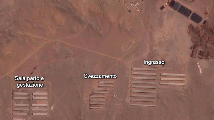 Foto 1.Cartina dell'allevamento