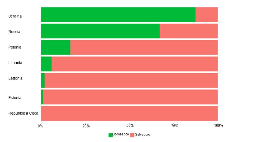 Proporzioni relative di focolai e casi di peste suina africana nei cinghiali e nei suini domestici. (Fonte: Piattaforma ESA a partire da dati di ADNS/FAO Empres-i)