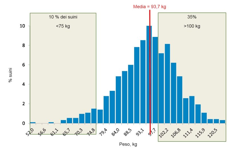 Figura 5. Distribuzione dei pesi alla fine dell'ingrasso. Il 35% dei suini pesano pi&ugrave; di&nbsp;100 kg, mentre il &nbsp;10% &egrave; al di sotto dei&nbsp;75 kg.
