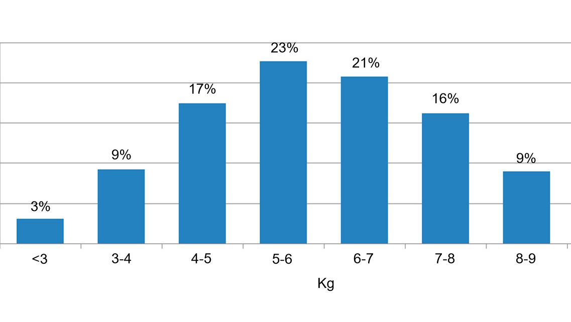 Figura 2. Distribuzione degli animali in base al peso all'ingresso dello svezzamento. La differenza tra il 5% dei suini con meno peso e il 5% con pi&ugrave; peso &egrave; di 6 kg.
