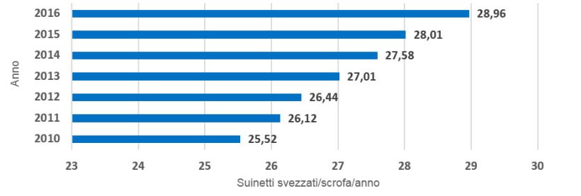 Grafico 3.- Evoluzione media dei suinetti svezzati/scofa produttiva/anno. L'incremento della produzione &egrave; stato di 0,49 suinetti/scrofa/anno.
