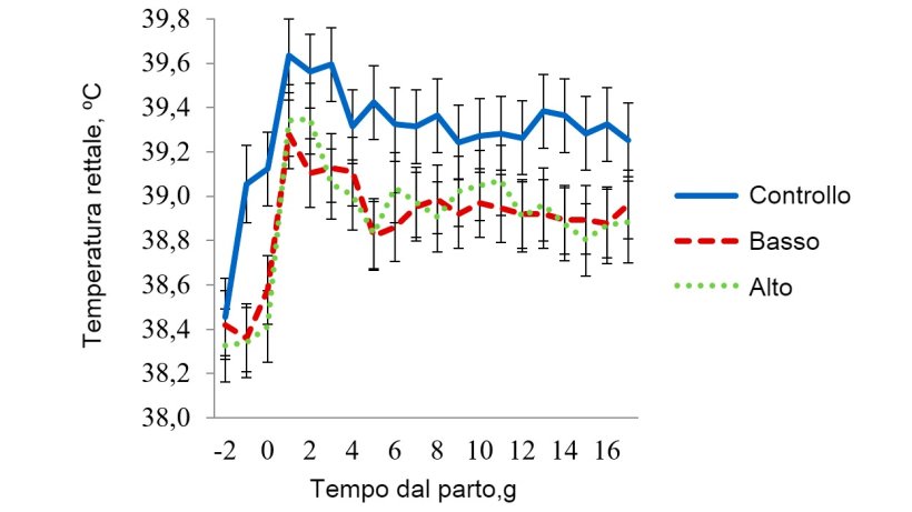 Figura 6 - Temperature rettali nella sala con stress termico moderato. La temperatura in questa sala veniva mantenuta a 32 &ordm;C dalle&nbsp;08:00-16:00 h e&nbsp;a 27 &ordm;C durante il resto del giorno. La temperatura rettale della scrofa era influenzata&nbsp;(P < 0,038) dall'Ora del giorno, Giorno di lattazione , Trattamento&nbsp;&times; Temperatura della sala, Trattamento &times; Ora, Giorno di lattazione&nbsp;&times; Temperatura della sala e per l'interazione a 3 bande del Trattamento&nbsp;&times; Temperatura della sala &times; Ora del giorno.
