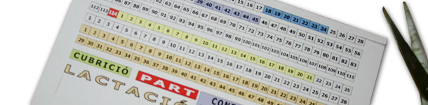 Passo 3: Costruzione delle celle della parte fissa del planning.