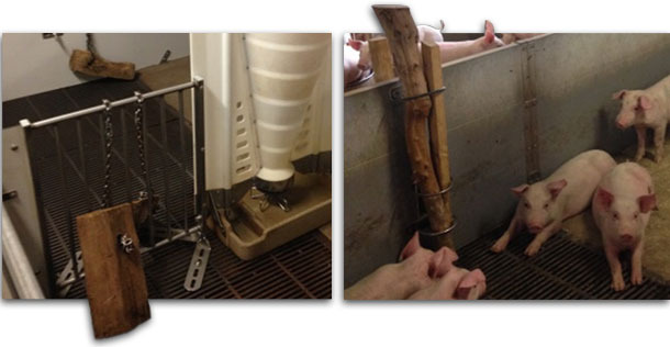 Tronchetti di legno tenuti ad anello Tronchetti sospesi a catena.