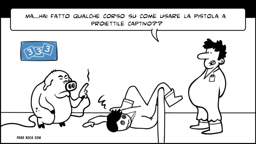 Pistola per abbattimento